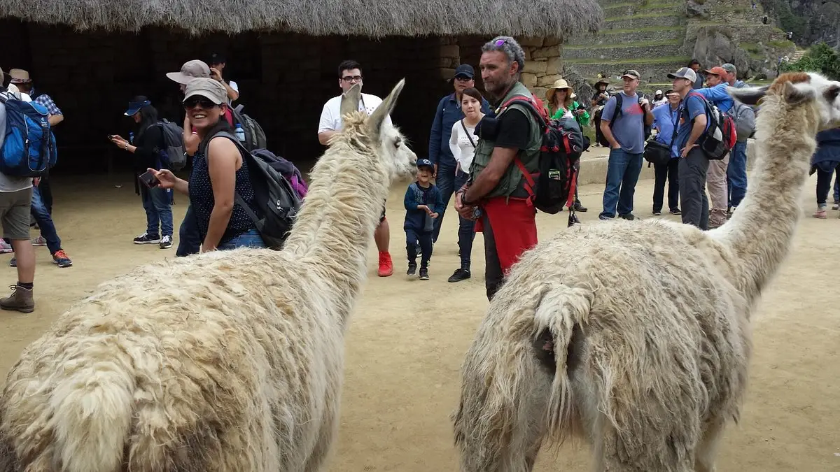 Prohibiciones y Reglamento de Visitas a Machu Picchu
